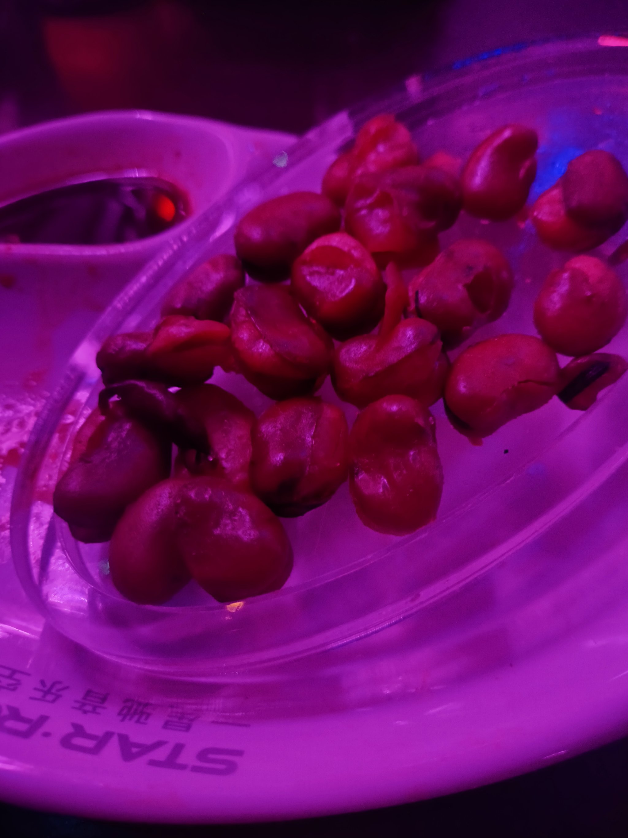 新乡商务KTV，有没有这样的选择？-凤泉区ktv预订